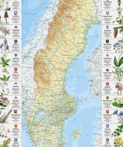 Pussel 1000 bitar Sverige med landskapsblommor pussel