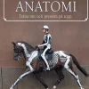 Ridningens anatomi : träna rätt och prestera på topp
