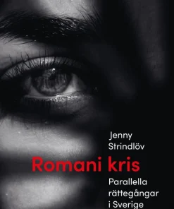 Romani kris : parallella rättegångar i Sverige - ett reportage