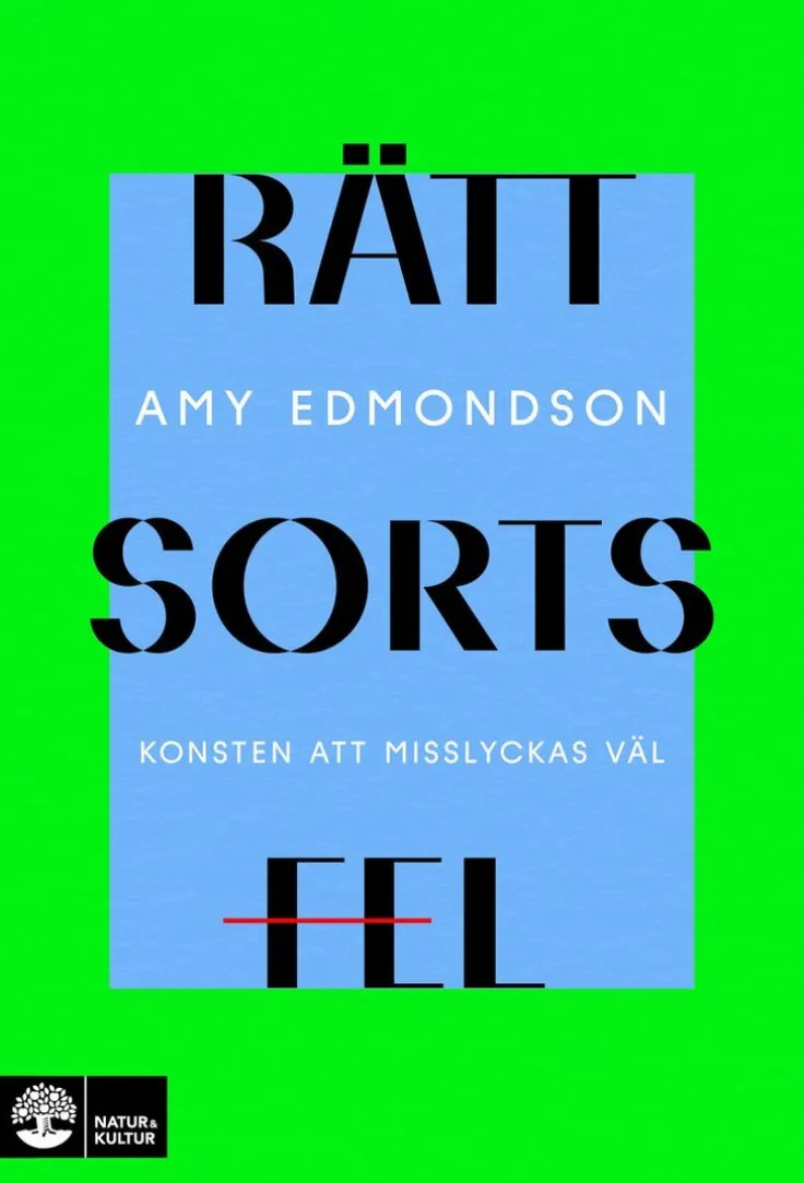 Rätt sorts fel : konsten att misslyckas väl