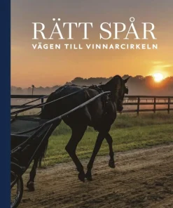 Rätt spår : vägen till vinnarcirkeln