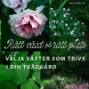 Rätt växt på rätt plats : välja växter som trivs i din trädgård