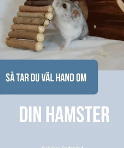 Så tar du väl hand om din hamster