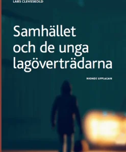 Samhället och de unga lagöverträdarna