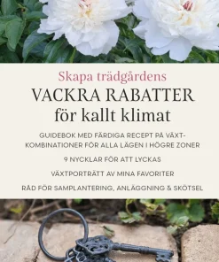 Skapa trädgårdens vackra rabatter för kallt klimat