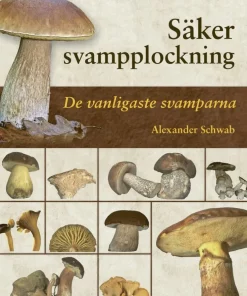 Säker svampplockning : de vanligaste svamparna