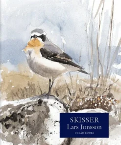 Skisser
