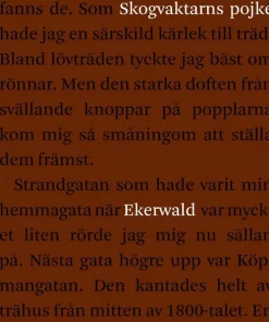 Skogvaktarns pojke : minnen