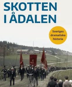 Skotten i Ådalen