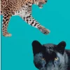 Skrivhäfte A5 linjerad Leoparder
