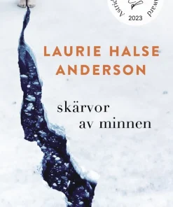 Skärvor av minnen