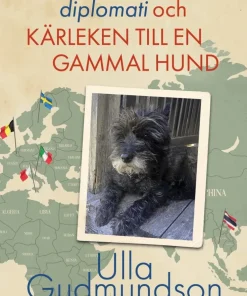 Skurgolv, diplomati och kärleken till en gammal hund