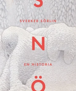 Snö : en historia