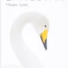 Sångsvan : Tillbaka i ljuset