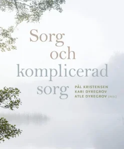 Sorg och komplicerad sorg