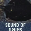Sound of Drums