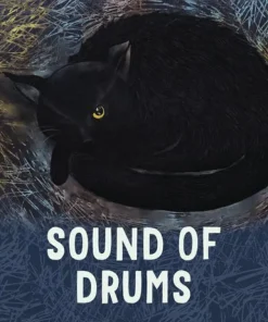 Sound of Drums