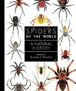 Spiders of the World