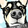 Starka möten : hundar för hälsa & livsglädje