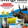 Stora Quizboken. Sverige runt : från norr till söder