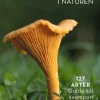 Svampar i naturen : 127 arter - guide till svampar nära dig