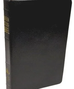 Svensk studiebibel : bibeltext: Svenska folkbibeln 2015