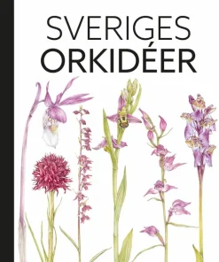 Sveriges orkidéer