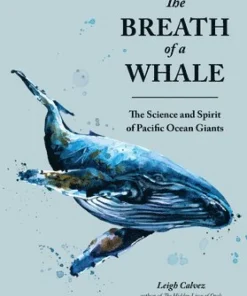 The Breath of a Whale