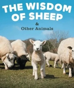 The Wisdom of Sheep & Other Animals