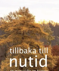 Tillbaka till nutid