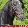 Travlegender 3 : med Järvsöfaks och andra stjärnor