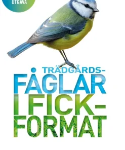 Trädgårdsfåglar i fickformat