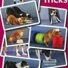 Tricks som aktivering