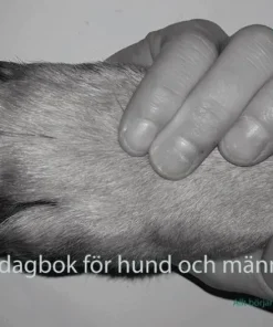 Träningsdagbok för hund och människa : allt börjar med rörelse