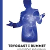 Tryggast i rummet : om tidlöst ledarskap