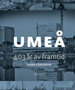 Umeå : 403 år av framtid