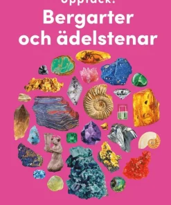 Upptäck bergarter och ädelstenar : utforska naturens skatter