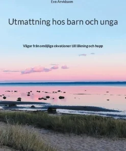 Utmattning hos barn och unga : vägar från omöjliga ekvationer till läkning och hopp