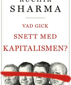 Vad gick snett med kapitalismen?