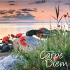 Väggkalender 2026 Carpe Diem
