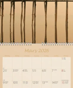 Väggkalender 2026 Carpe Diem