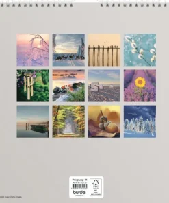 Väggkalender 2026 Carpe Diem