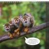 Väggkalender 2026 Djurkul
