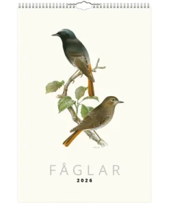Väggkalender 2026 Fåglar