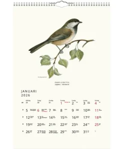 Väggkalender 2026 Fåglar