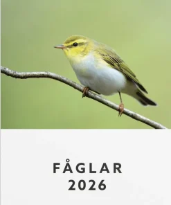 Väggkalender 2026 Fåglar