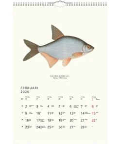 Väggkalender 2026 Fiskar