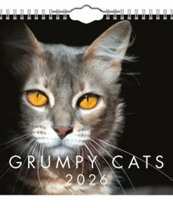 Väggkalender 2026 Grumpy Cats Mini
