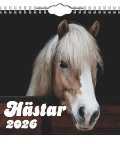 Väggkalender 2026 Hästar Mini