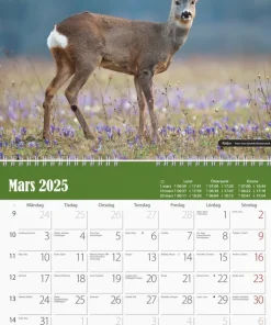 Väggkalender 2025 Jaktkalender